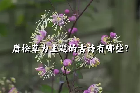 唐松草为主题的古诗有哪些？