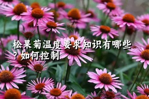 松果菊温度要求知识有哪些？如何控制