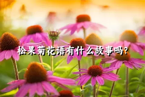 松果菊花语有什么故事吗？