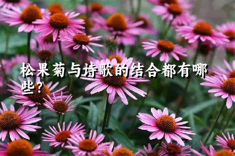 松果菊与诗歌的结合都有哪些？