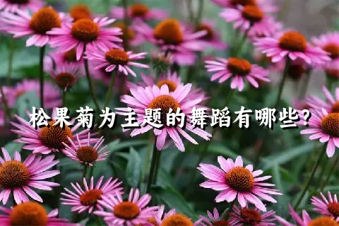 松果菊为主题的舞蹈有哪些？