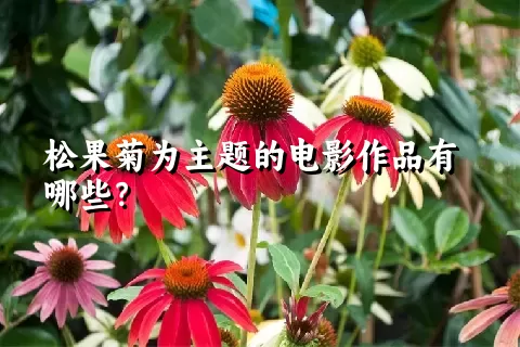 松果菊为主题的电影作品有哪些？