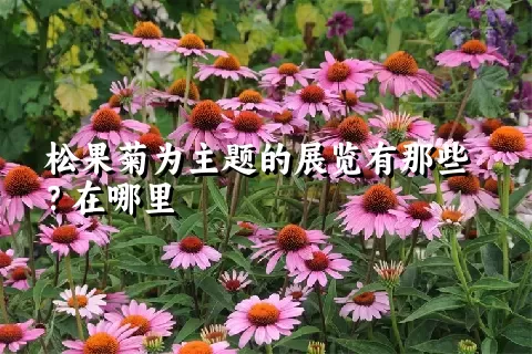 松果菊为主题的展览有那些？在哪里