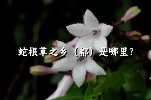 蛇根草之乡（都）是哪里？