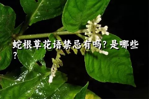 蛇根草花语禁忌有吗？是哪些？