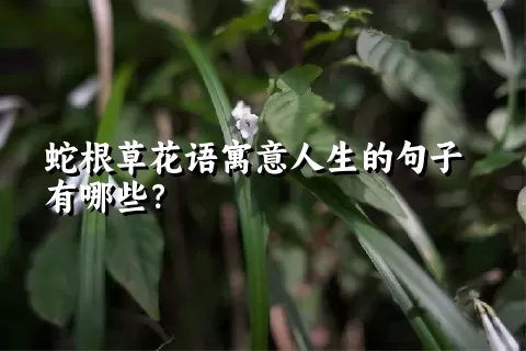 蛇根草花语寓意人生的句子有哪些？