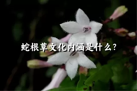 蛇根草文化内涵是什么？