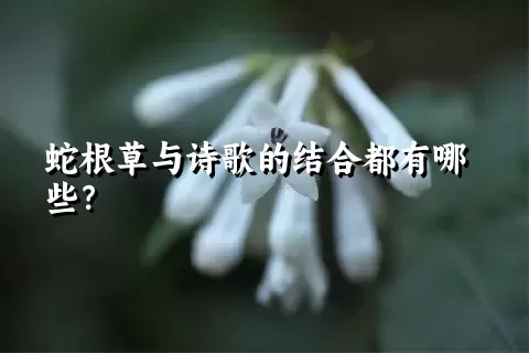 蛇根草与诗歌的结合都有哪些？