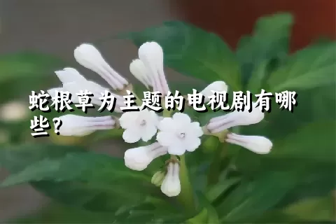 蛇根草为主题的电视剧有哪些？