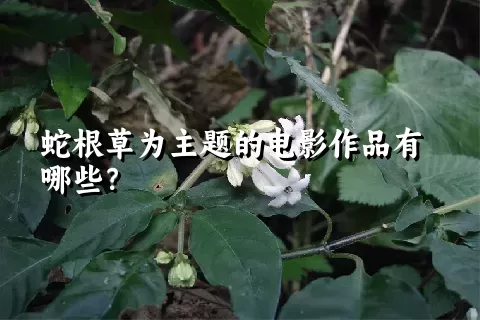 蛇根草为主题的电影作品有哪些？