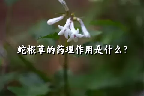 蛇根草的药理作用是什么？