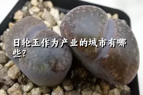 日轮玉作为产业的城市有哪些？