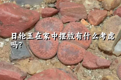 日轮玉在家中摆放有什么考虑吗？