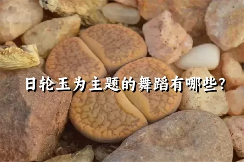 日轮玉为主题的舞蹈有哪些？