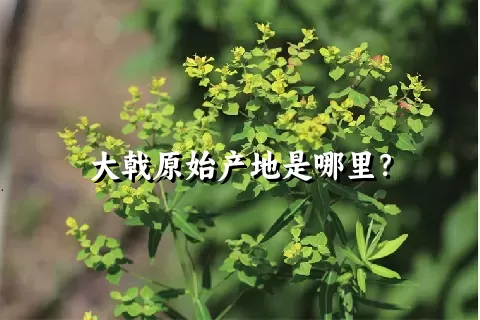 大戟原始产地是哪里？