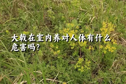 大戟在室内养对人体有什么危害吗？