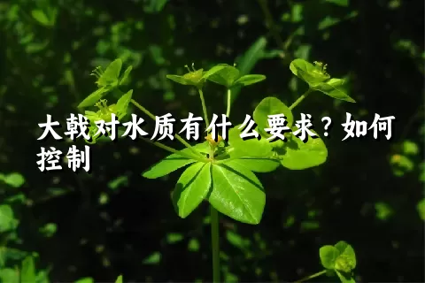 大戟对水质有什么要求？如何控制