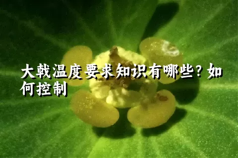 大戟温度要求知识有哪些？如何控制