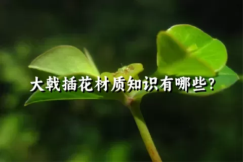 大戟插花材质知识有哪些？