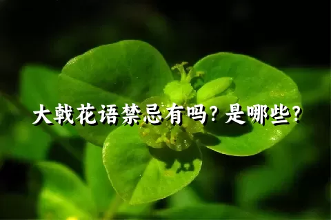 大戟花语禁忌有吗？是哪些？