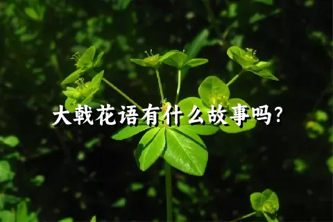 大戟花语有什么故事吗？