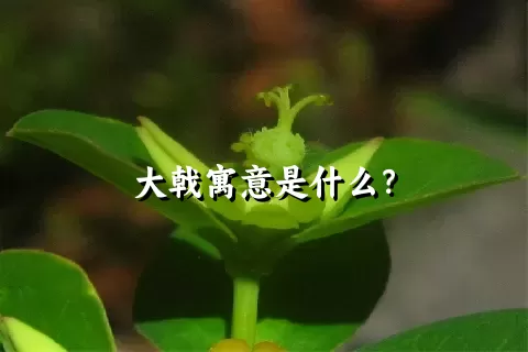 大戟寓意是什么？