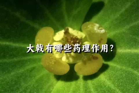 大戟有哪些药理作用？