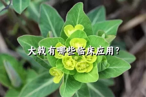 大戟有哪些临床应用？