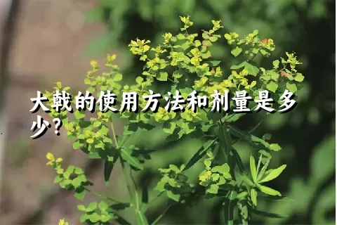 大戟的使用方法和剂量是多少？