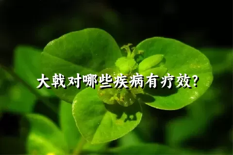 大戟对哪些疾病有疗效？