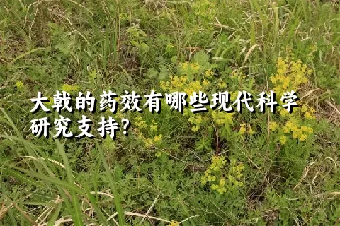 大戟的药效有哪些现代科学研究支持？