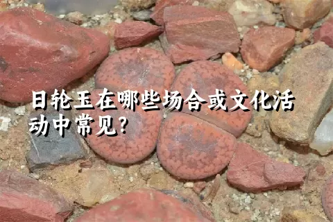 日轮玉在哪些场合或文化活动中常见？