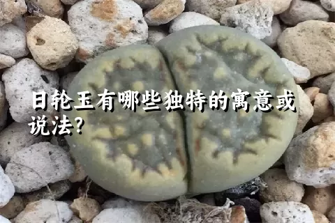 日轮玉有哪些独特的寓意或说法？