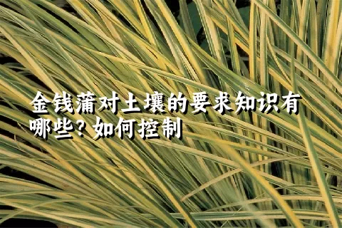 金钱蒲对土壤的要求知识有哪些？如何控制