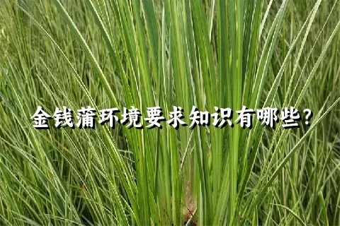 金钱蒲环境要求知识有哪些？