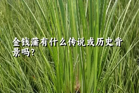 金钱蒲有什么传说或历史背景吗？