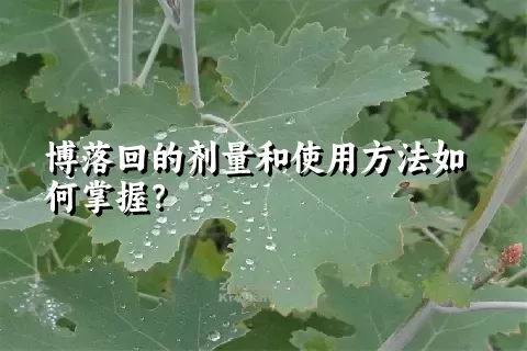 博落回的剂量和使用方法如何掌握？