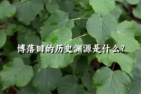 博落回的历史渊源是什么？