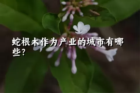 蛇根木作为产业的城市有哪些？