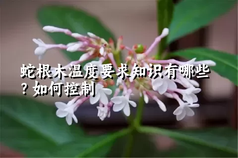 蛇根木温度要求知识有哪些？如何控制