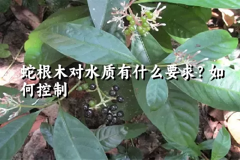 蛇根木对水质有什么要求？如何控制