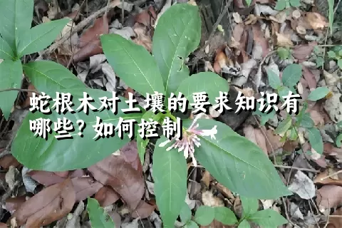 蛇根木对土壤的要求知识有哪些？如何控制