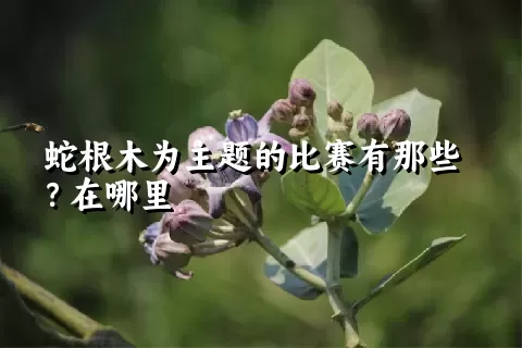 蛇根木为主题的比赛有那些？在哪里