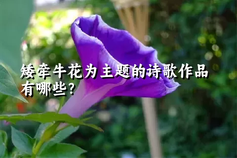 矮牵牛花为主题的诗歌作品有哪些？