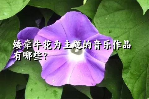 矮牵牛花为主题的音乐作品有哪些？