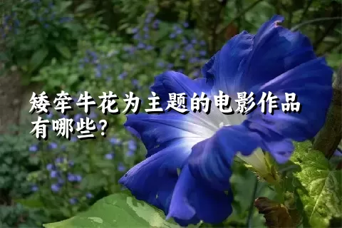 矮牵牛花为主题的电影作品有哪些？