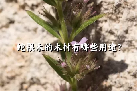 蛇根木的木材有哪些用途？