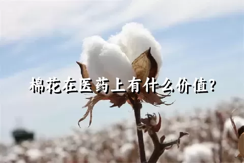 棉花在医药上有什么价值？