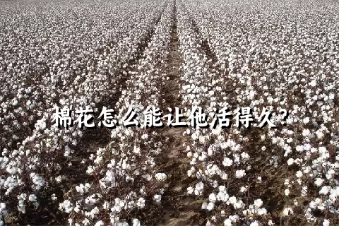 棉花怎么能让他活得久？