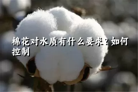 棉花对水质有什么要求？如何控制